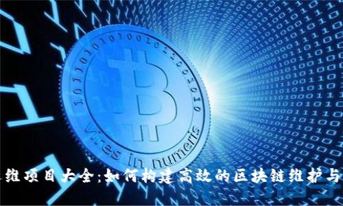 区块链运维项目大全：如何构建高效的区块链维护与管理策略